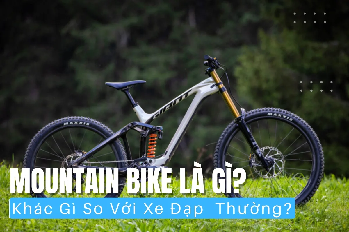 Mountain bike là dòng xe địa hình được thiết kế để chinh phục đường đất, đá, dốc và những cung đường gồ ghề ngoài thiên nhiên.